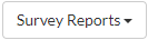 survey_-_survey_reports_button.png